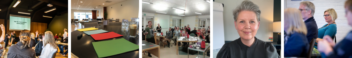 Billeder fra online og fysiske foredrag og workshops gennem +20 år (7)